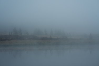 Stillness of Fog.jpg