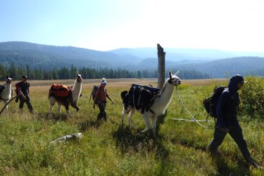 1726949242448.jpeg 1726949242448.jpeg