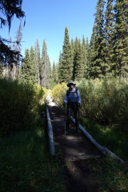 1726949342755.jpeg 1726949342755.jpeg