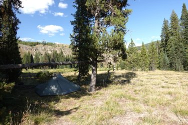 1726949530479.jpeg 1726949530479.jpeg