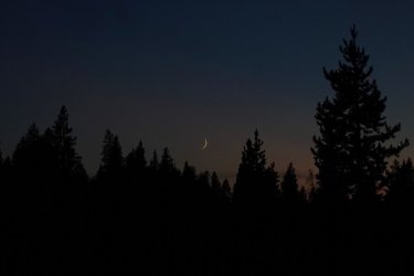 1726949703238.jpeg 1726949703238.jpeg