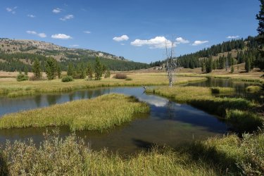 1726950712540.jpeg 1726950712540.jpeg