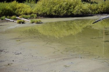 1726951010918.jpeg 1726951010918.jpeg