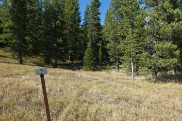 1726951713492.jpeg 1726951713492.jpeg