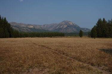 1726952667533.jpeg 1726952667533.jpeg