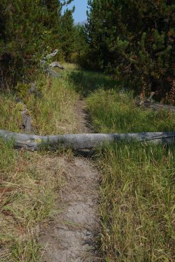 1726952775718.jpeg 1726952775718.jpeg