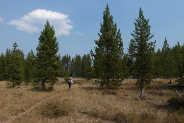 1727014918702.jpeg 1727014918702.jpeg