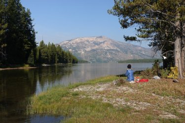 1727016474259.jpeg 1727016474259.jpeg