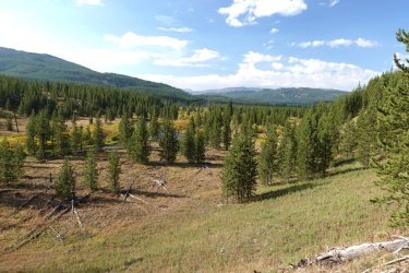 1727018462880.jpeg 1727018462880.jpeg