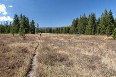 1727018587479.jpeg 1727018587479.jpeg