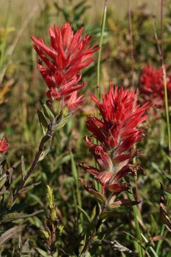 1727018971632.jpeg 1727018971632.jpeg