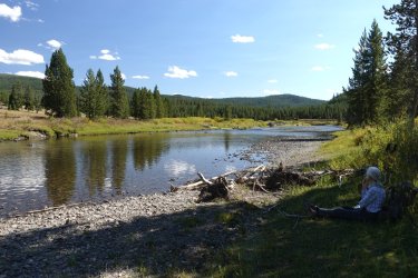 1727019180036.jpeg 1727019180036.jpeg