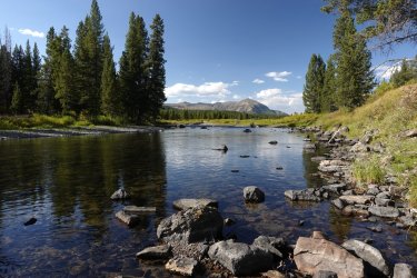 1727019310704.jpeg 1727019310704.jpeg