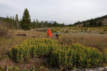 1727019819844.jpeg 1727019819844.jpeg