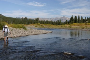 1727019857264.jpeg 1727019857264.jpeg