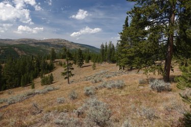 1727042243831.jpeg 1727042243831.jpeg