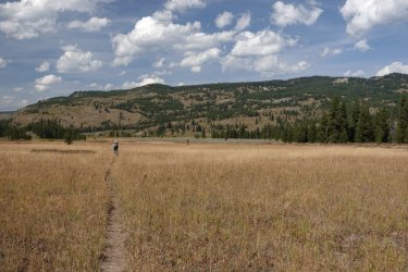 1727043135477.jpeg 1727043135477.jpeg