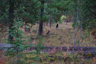 1727046955038.jpeg 1727046955038.jpeg