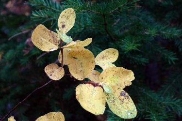 1727047103663.jpeg 1727047103663.jpeg