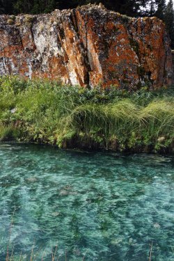 1727050775319.jpeg 1727050775319.jpeg