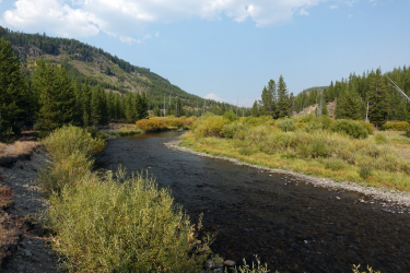 1727227685477.png 1727227685477.png