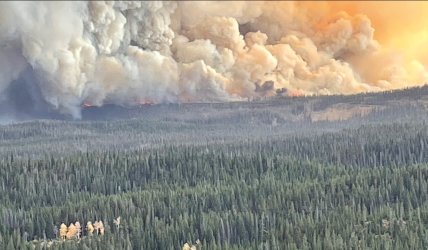 aaa pack trail.jpg aaa pack trail.jpg