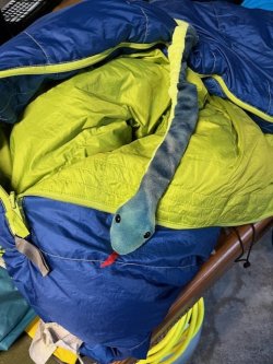 snake-in-my-sleeping-bag.jpg