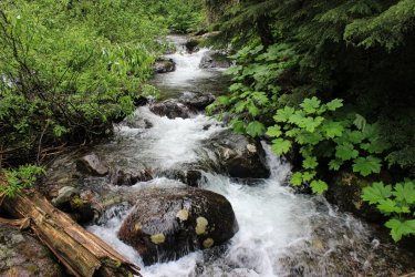 IMG_4380.jpg IMG_4380.jpg