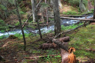 IMG_4396.jpg IMG_4396.jpg