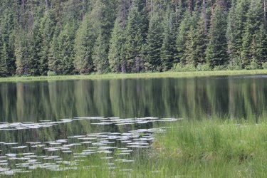 IMG_4407.jpg IMG_4407.jpg