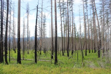 IMG_4425.jpg IMG_4425.jpg