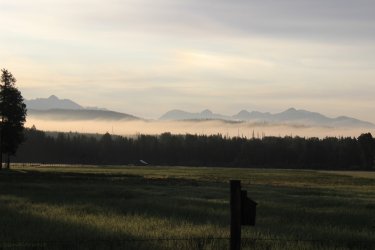 IMG_4451.jpg IMG_4451.jpg