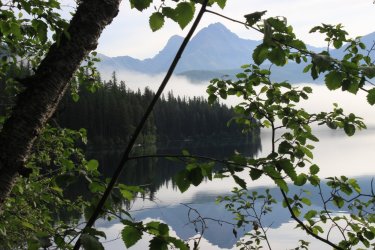 IMG_4461.jpg IMG_4461.jpg