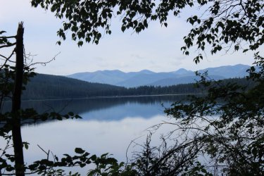 IMG_4469.jpg IMG_4469.jpg