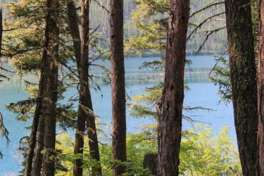 IMG_4479.jpg IMG_4479.jpg