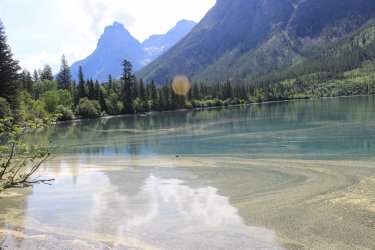 IMG_4498.jpg IMG_4498.jpg