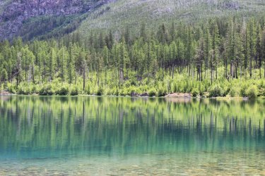 IMG_4543.jpg IMG_4543.jpg