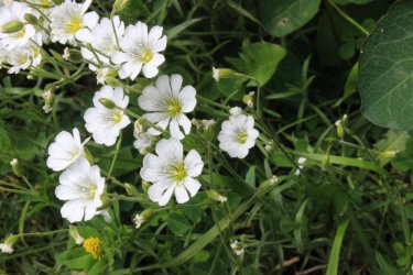 IMG_4544.jpg IMG_4544.jpg