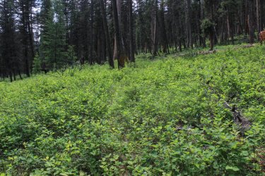 IMG_4566.jpg IMG_4566.jpg