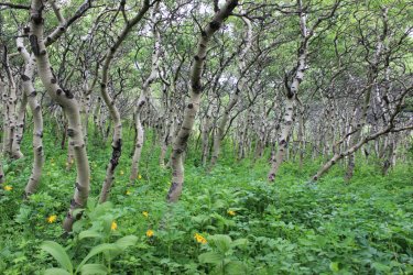 IMG_4593.jpg IMG_4593.jpg