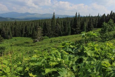 IMG_4680.jpg IMG_4680.jpg