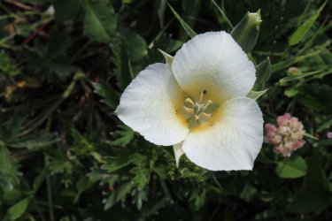 IMG_4682.jpg IMG_4682.jpg