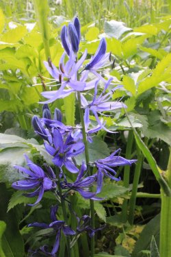 IMG_4688.jpg IMG_4688.jpg