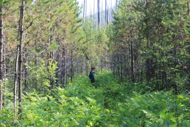 IMG_4699.jpg IMG_4699.jpg