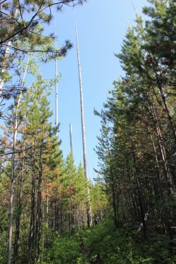 IMG_4700.jpg IMG_4700.jpg