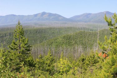 IMG_4708.jpg IMG_4708.jpg