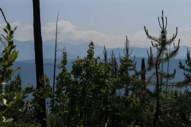 IMG_4742.jpg IMG_4742.jpg