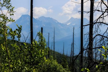 IMG_4758.jpg IMG_4758.jpg