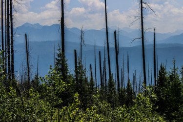 IMG_4759.jpg IMG_4759.jpg