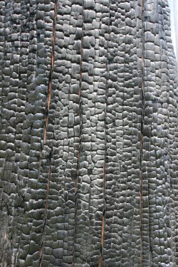 IMG_4766.jpg IMG_4766.jpg